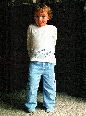 {short description of image}